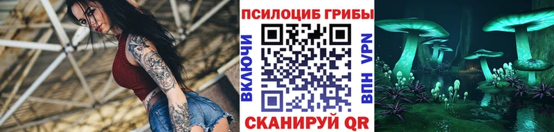 закладка  Урюпинск  Псилоцибиновые грибы мухоморы 